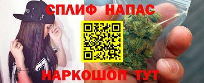 крисы Обь