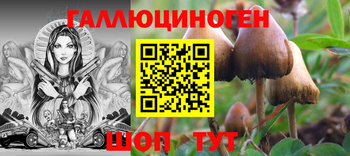 Псилоцибиновые грибы Magic Shrooms  Вход с VPN  Галлюциногенные грибы GOLDEN TEACHER  Пыть-Ях 